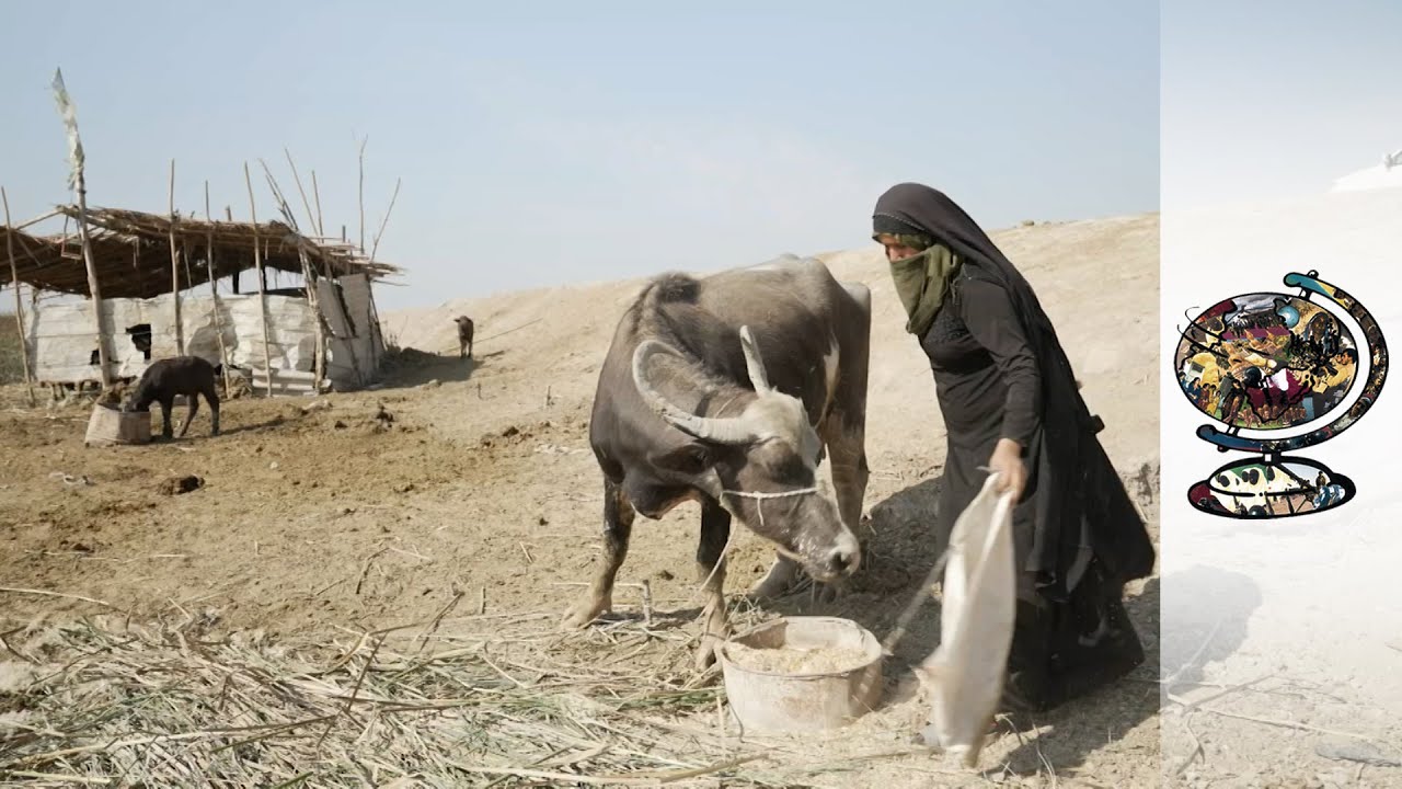 Film backdrop image for Iraq Struggling with Severe Water Shortages (2022)