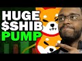 SHIB Sees 206% Whale Surge – Is a Massive Pump Coming | Shiba Inu coin news today
