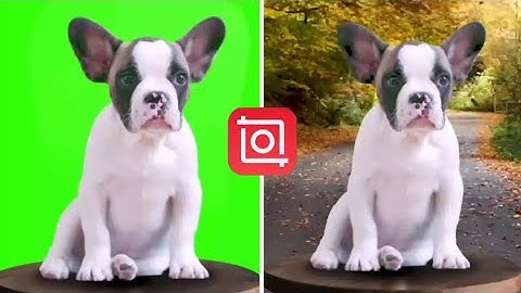 How To Green Screen On Inshot App (Inshot Tutorial 2022)