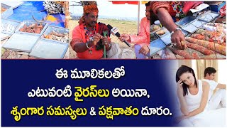 కోయ దొర కుర్రో కుర్రు..| Sammakka Saralamma Jathara 2024 | Medaram Jathara 2024 | Socialpost TV