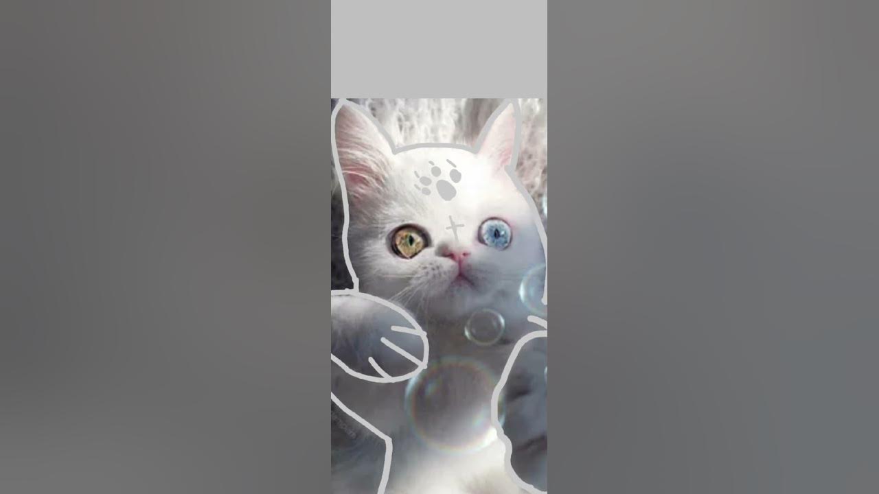 аватарки для подписчиков 🐾квадробика🐾 #квадробика #спорт - YouTube