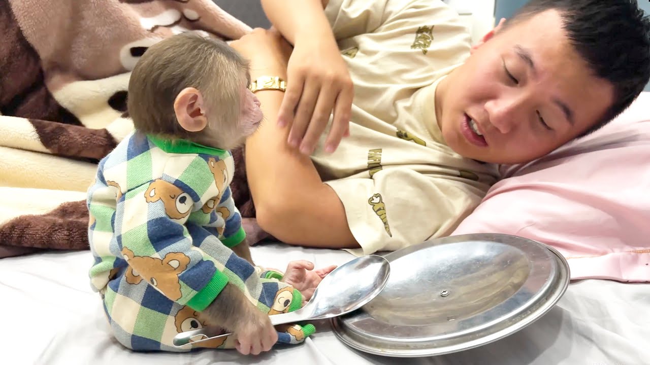 So Funny! CUBIS Wakes Dad Up in the Most Hilarious Way