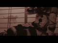Aicle - Neko no Kiza Mairi 【PV】