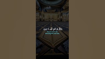 تلاوة خاشعة لفضيلة الشيخ خالد الجليل #quran #خالد_الجليل #اكسبلور #قرآن #1000subscriber #لايك #fyp