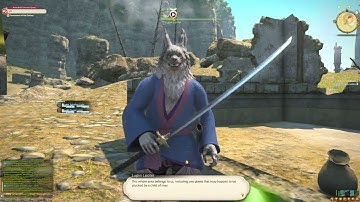 First-Person POV Final Fantasy XIV | [Wolves and Weeds | Yanxia Aether Current 1] | NO COMMENTARY