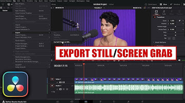 How to Export Stills In DaVinci Resolve 18.5 & Newer [ Screen Grab Tutorial ]