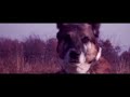 meko kazi - bite back (official music video)