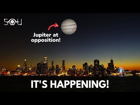 jupiter attorneys