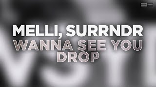 Melli, Surrndr - Wanna See You Drop (Official Audio) #Electrohouse