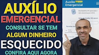 QUE MARAVILHOSA! QUEM RECEBEU AUXÍLIO EMERGENCIAL PODE TER DINHEIRO ESQUECIDO, SAIBAM COMO CONSULTA