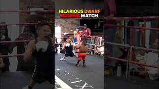 Try not to laugh at boxing match