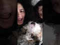Social Media VS. Reality  Gotta love #dogs#socialmediavsreality #instagramvsreality#reelvsreal