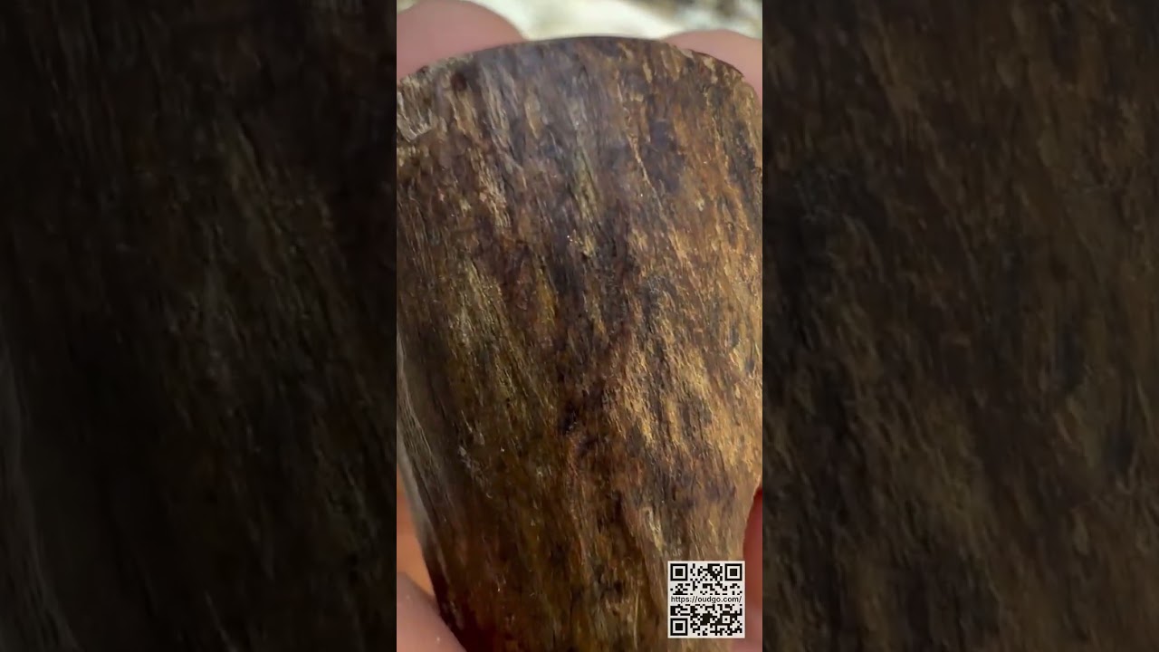 Discover the beauty of Vietnamese Agarwood! 🇻🇳✨