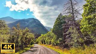 Breathtaking Alpine Loop Scenic Drive in Utah | 4K Road Trip Driving Adventure