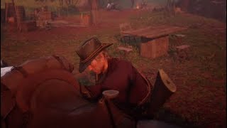 Все баги с игры Red Dead Redemption 2