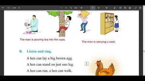 Engels klas 6 eenheid 13/Engels klas 7 eenheid 13/Engelse gids voor klas 6