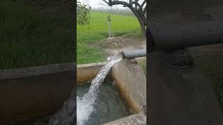 Tube well working #shorts #villagelife