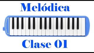 Flauta Melodica MEL Parquer 32 Notas Vs Colores Con Funda - La Casa del  Músico