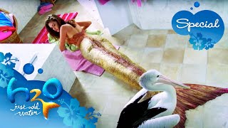 Top 10 Transformations of all time 🧜‍♀️ | H2O - Just Add Water