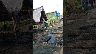 Melangkah maju pantang mundur