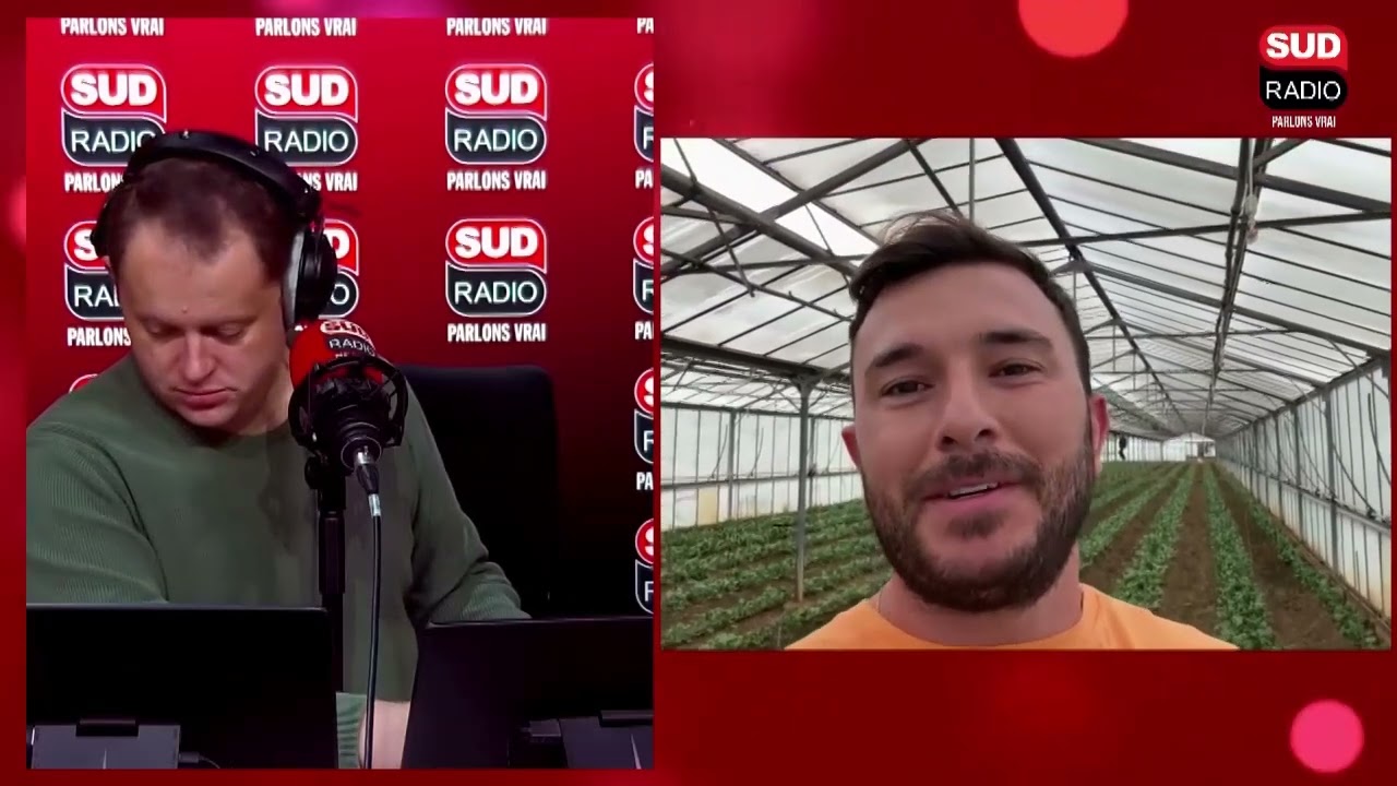 Place à l’entretien des renoncules pour avoir une bonne récolte - Tous au Jardin