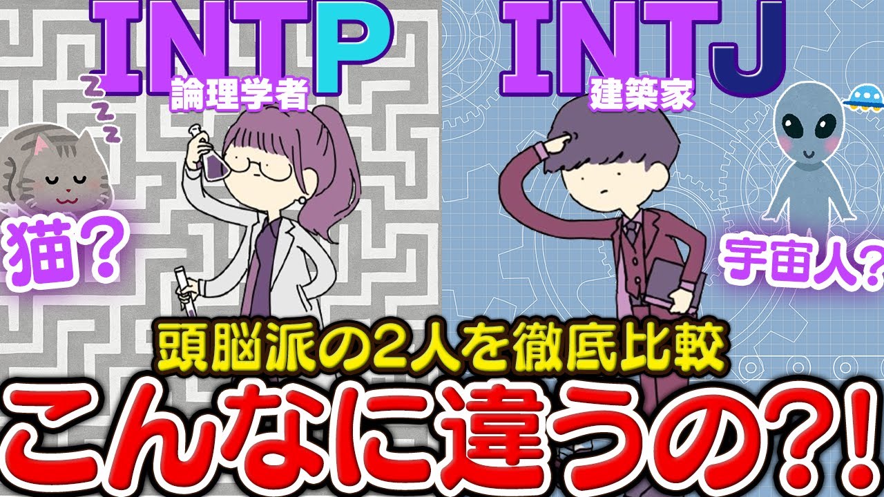 INTPとINTJの違いをわかりやすく比較｜論理型2タイプのすれ違いあるある