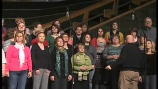 Cardboard Testimonies 1 23 11