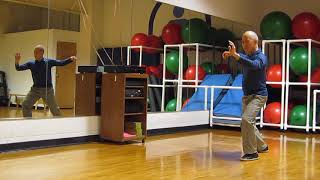 TaiChi Yang 85 style Section One