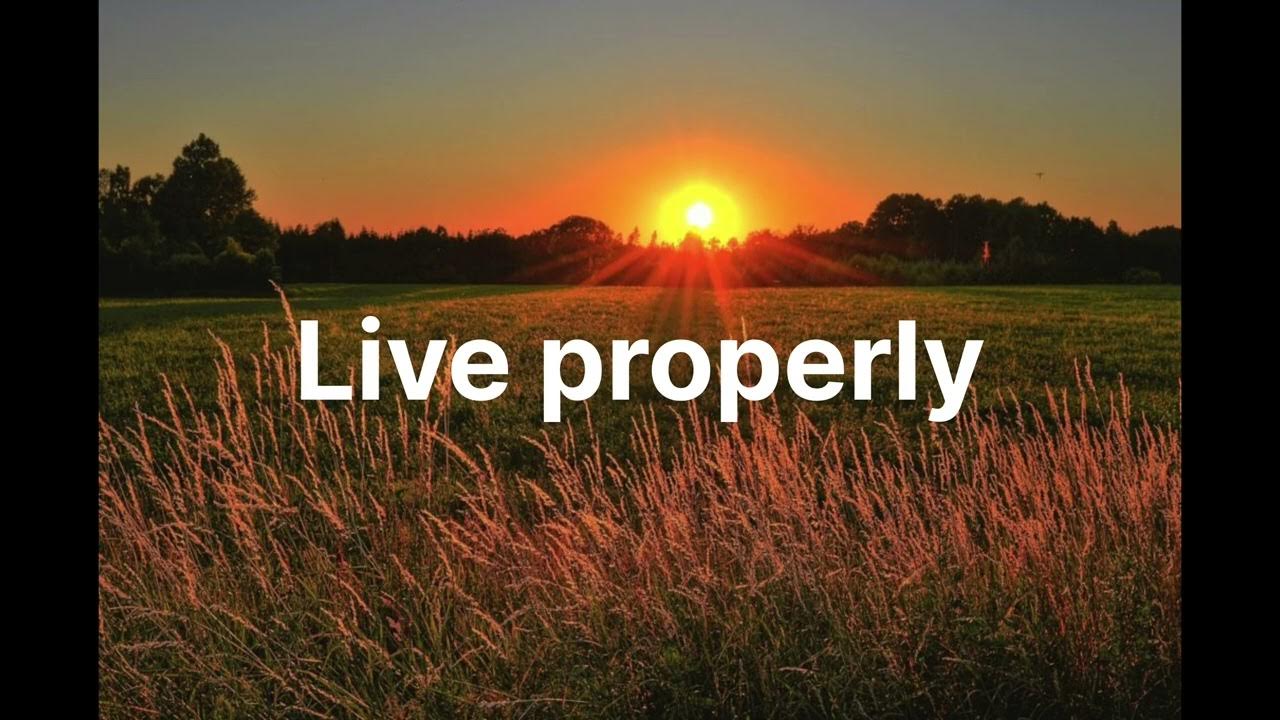 I feel anymore. I feel anymore. картинка i know. Lost right. I don't feel at home in this world anymore, 2017.