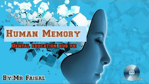 Human Memory/Psychology/Behaviour Sciences