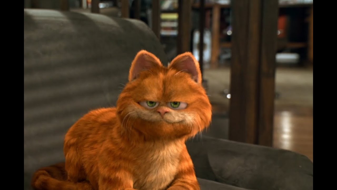 Garfield Kedinin Dünyası En Komik Sahneleri