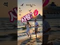 💞 #천년을빌려준다면 #박진석노래 #에덴동산tv #트로트 #shorts#힐링영상 #힐링음악 #aivideo