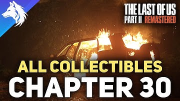 All Collectible Locations In Chapter 30 The Forest - The Last of Us Part 2 Remastered