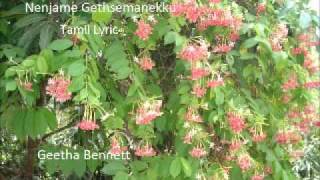 Video thumbnail of "Nenjame gethsamanekku Old Tamil Lyric"