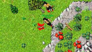 tibia copper shield quest.avi