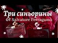 Три синьорины от Salvatore Ferragamo(обзор ароматов).