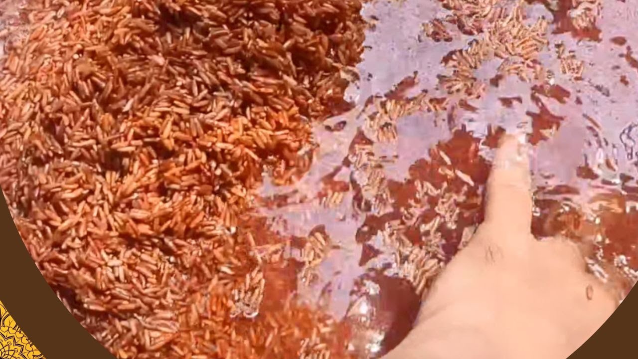 How to do best organic brown rice protein powder at home