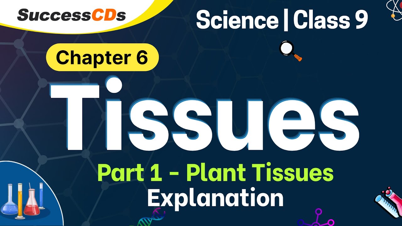 case study questions class 9 science tissues