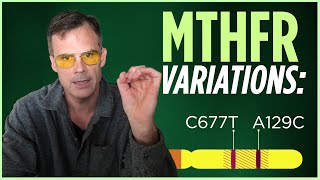 Two Main MTHFR Variants Explained: MTHFR C677T and MTHFR A1298C