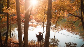 Cody Tyler - Down the Creek (Official Music Video)