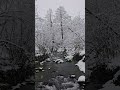 Snowy Stream | 100% No Sudden Sounds, Instant Calm