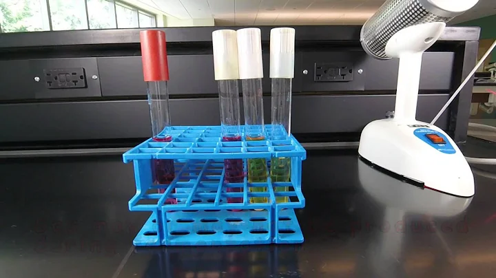 Fermentation of Carbohydrates