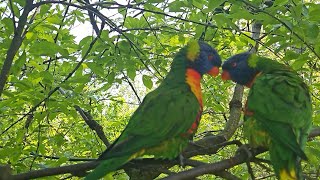 Fahrradtour von Tessin über Bad Sülze zum Vogelpark Marlow