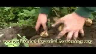 How to Compost : Learn Organic Garden Composting Online : Choosing a Compost Bin