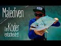 STRANDRÄUBER DER MALEDIVEN || Dickes Ende - Aus Klein wird Groß! || TRAVEL AND FISH Ep. #2