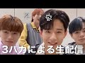 自由奔放な弟たち［JO1/제이오원］