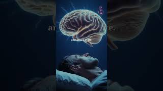 Do you need to believe in past lives for PLR to work?