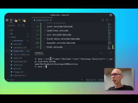 bare codec | form-data to JSON encoding