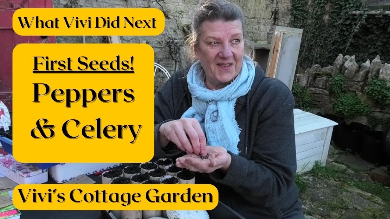 Vivi's Cottage Garden: First Seeds! Peppers & Celery.....and one more.