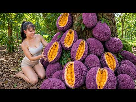 Harvesting 800Kg of Jackfruit, Sugar Apples, Fish, Softshell Turtles - Use Truck Transport to Market
